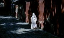 岁月，浮夸了年华_300字