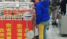 倾听树的心声_400字