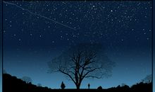 风带走了的历史_400字