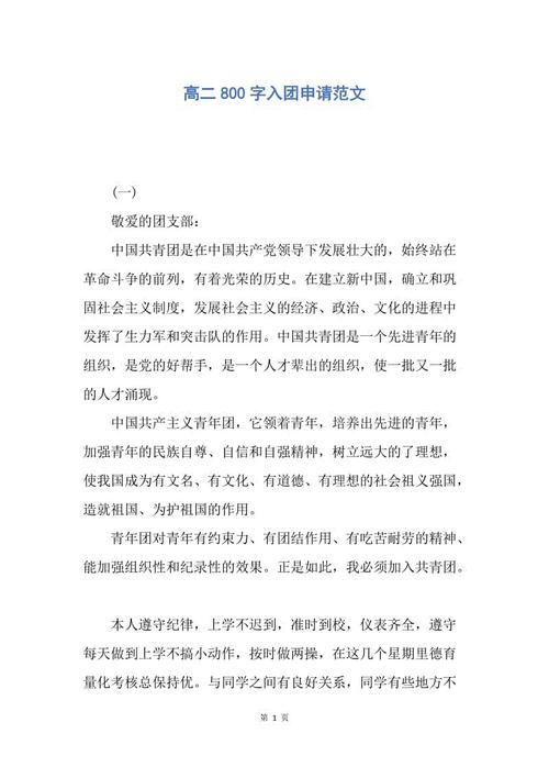 高中_800字