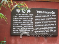 紫禁城的构图：妃_350字