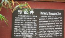 关于故宫的作文：珍妃井_350字