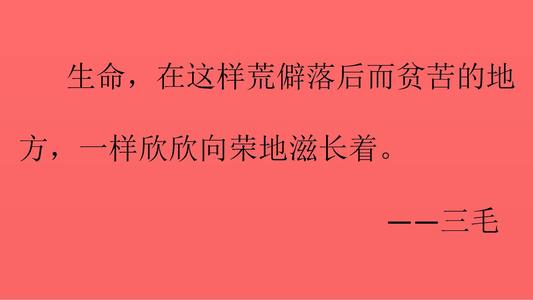 [2013年夏季论文]三人小姐和“撒哈拉的故事”_1200字
