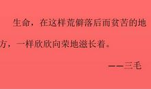 [2013暑期征文]念三毛与《撒哈拉的故事》_1200字