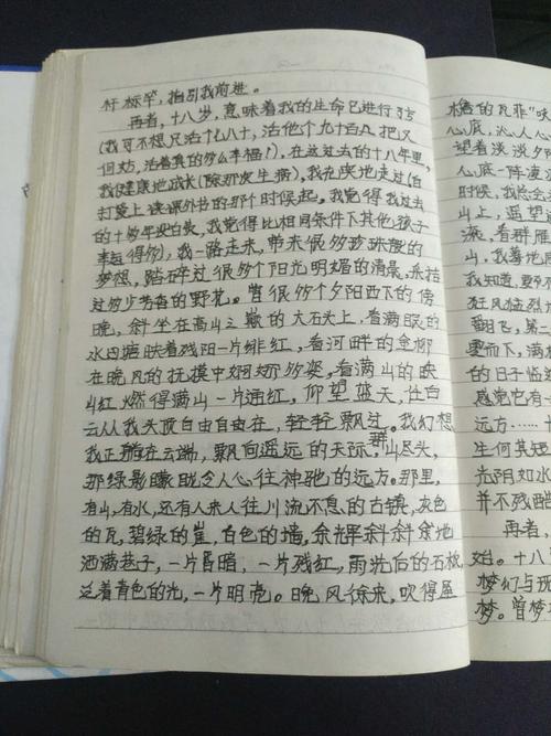 18岁，我老了_900字