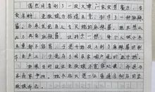 关于包容的作文：包容_550字