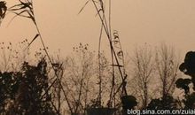 风儿捎来的思念_1200字