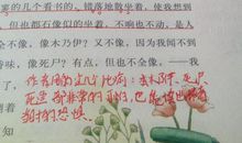 2018精选读书心得体会（五）