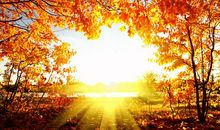 秋天的阳光_650字