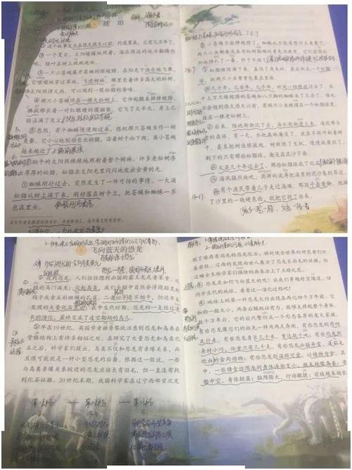 深度和省份中学生的经验（2）