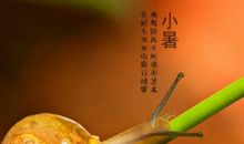 关于大暑小暑的作文：大暑（九）_600字