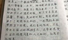 小抄写员_3000字