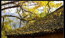 家乡的秋天_750字