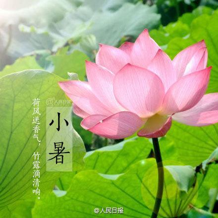 夏季热量的组成：小苏_2000字