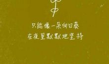 这是不能忘却的记忆_700字