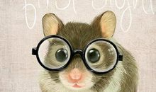 An Old Mouse_一只年长的老鼠_350字