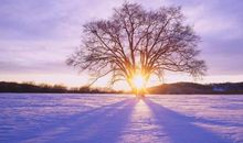 一抹冬日的阳光_750字