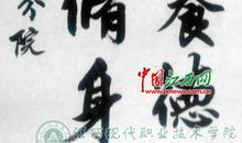 阳光校园，温暖相随_800字