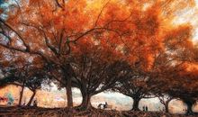 消逝的年华_550字