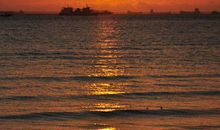 太阳的光辉_450字