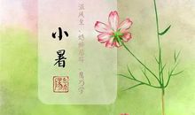 关于大暑小暑的作文：大暑（七）_2000字