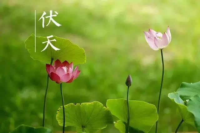 夏季热量的组成：就像热量_750字一样