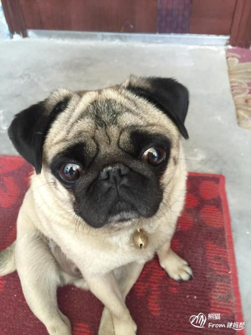 但良好的场景不长,因为我想上学,我的父亲和母亲必须去上班,没有人会照顾,所以我只能把它拿回我的家乡,所以我会分开从快乐。是什么让我伤心的是,我走了祖母的家之后,我哭了,我的母亲安慰我,我更伤心。