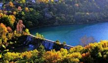 小九寨风光——野花_100字