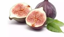 无花果的秘密_500字