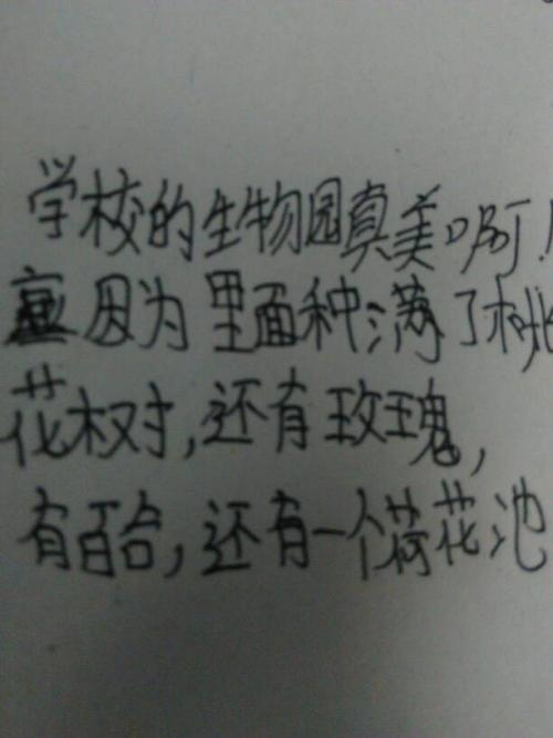 老师很高兴说：关于教师节的美丽句子（2）_900字