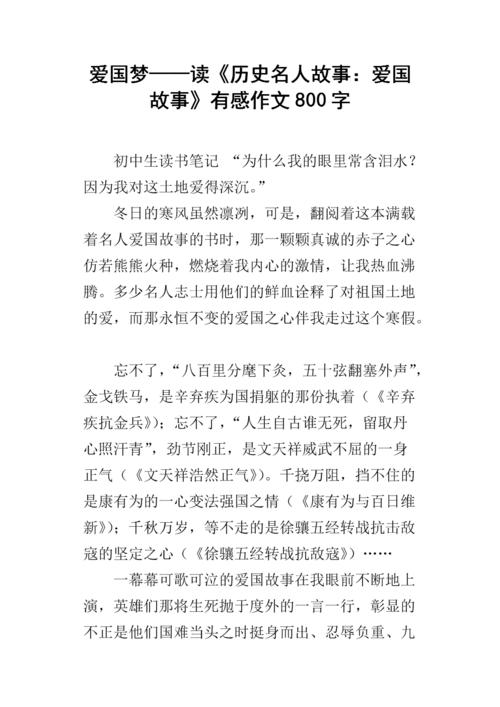 查看“袁梦2008”感觉_800字