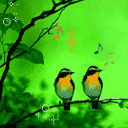 如果我是一只鸟_500字