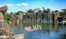 游张家港公园_400字