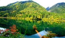 小九寨风光——凤蝶_150字