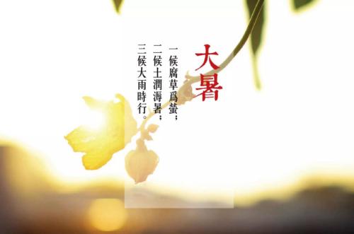 夏天的作曲热：甜蜜这个假期_450字