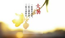 关于大暑小暑的作文：大暑这个节气_450字