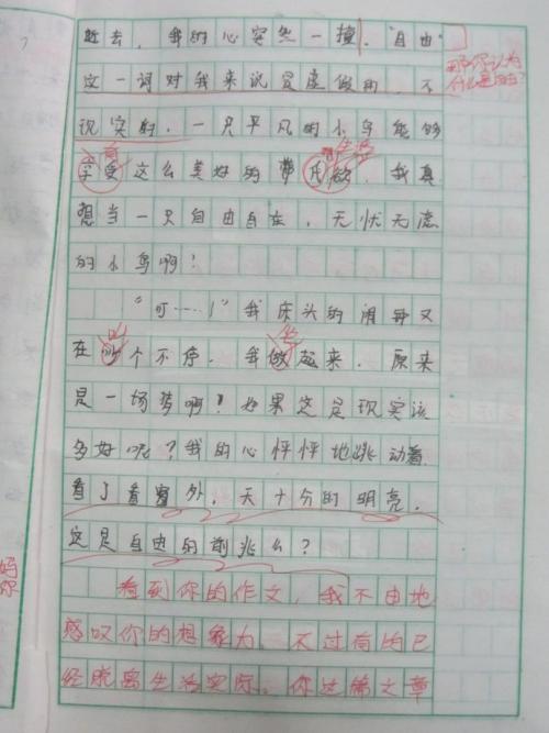 如果我是一只鸟_600字