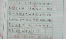 假如我是一只鸟_600字