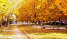 秋天的公园_300字