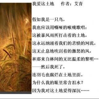 如果我是一只鸟_750字