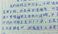 初一书信作文：致“老妹”_750字