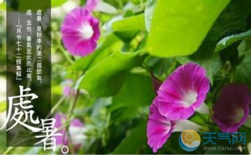 夏季热量的组成：强烈的时间_600字