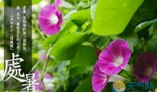 关于大暑小暑的作文：大暑时节_600字