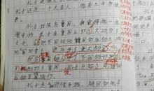 初一书信作文：致父亲的一封信_700字