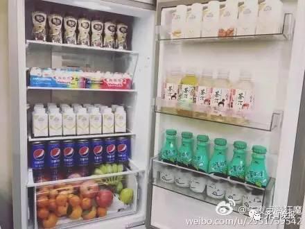 我的家用冰箱_250字