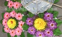 清明的花环_350字