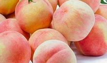 我喜欢的一种水果——水蜜桃_300字