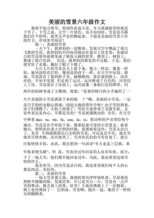 雪上的组成_450字