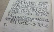 关于下雪的作文_900字