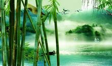 竹不留声 雁不留影_700字